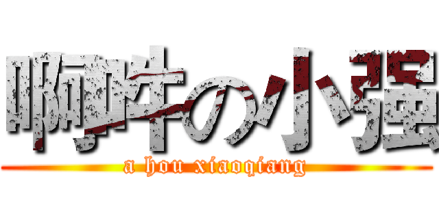 啊吽の小强 (a hou xiaoqiang)