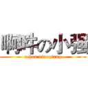 啊吽の小强 (a hou xiaoqiang)