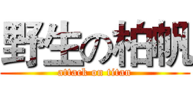 野生の柏帆 (attack on titan)