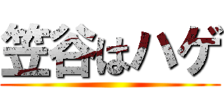 笠谷はハゲ ()