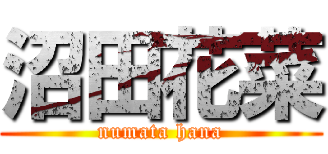 沼田花菜 (numata hana)