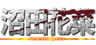 沼田花菜 (numata hana)