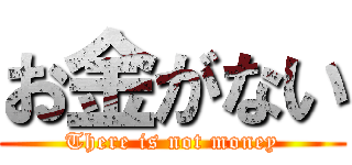 お金がない (There is not money)