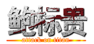 鲍标贵 (attack on titan)