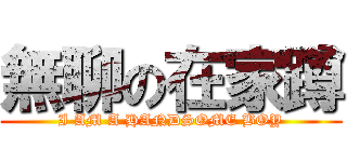 無聊の在家蹲 (I AM A HANDSOME BOY)