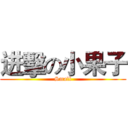 进擊の小果子 (Small)