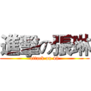 進擊の張琳 (attack on 48)