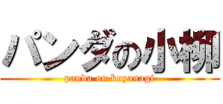 パンダの小柳 (panda on koyanagi)