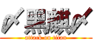 〆黑麒〆 (attack on titan)