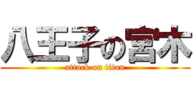 八王子の宮木 (attack on titan)