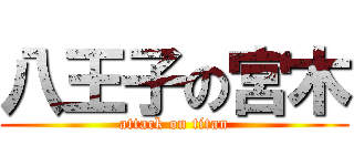 八王子の宮木 (attack on titan)