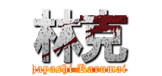 林克 (hayashi Karumai)