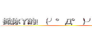  掀你丫的！（╯°Д°）╯︵ ┻━┻ ()