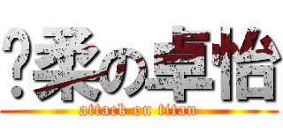 溫柔の卓怡 (attack on titan)