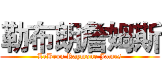 勒布朗詹姆斯 (LeBron Raymone James)