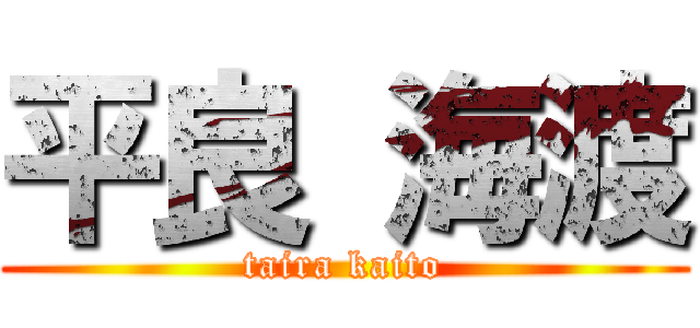 平良 海渡 (taira kaito)