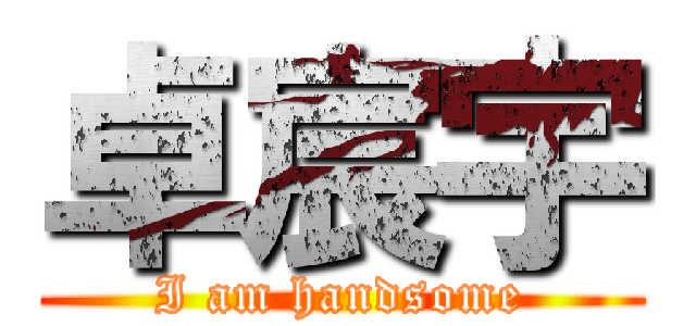 卓宸宇 (I am handsome)