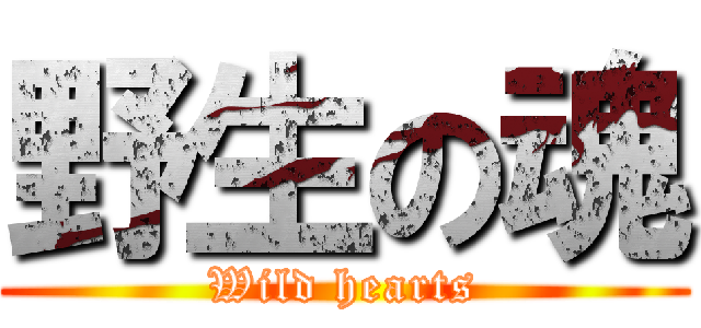 野生の魂 (Wild hearts)
