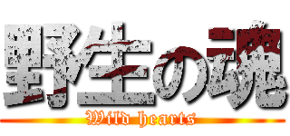 野生の魂 (Wild hearts)