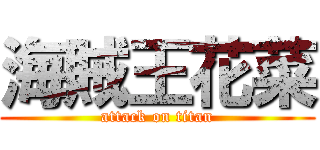 海賊王花菜 (attack on titan)