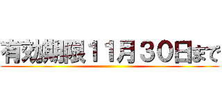 有効期限１１月３０日まで ()