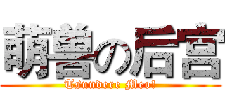 萌兽の后宫 (Tsundere Meo!)
