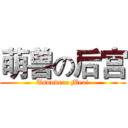 萌兽の后宫 (Tsundere Meo!)