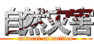 自然灾害 (natural calamities)