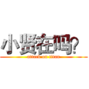 小贤在吗？ (attack on titan)