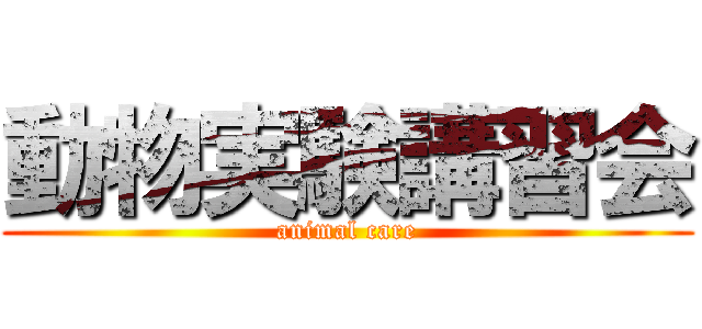 動物実験講習会 (animal care)