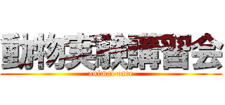 動物実験講習会 (animal care)