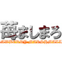 苺ましまろ (STRAWBERRY MARSHMALLOW)