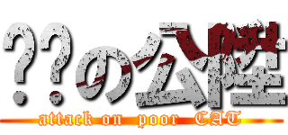 ㄍㄇの公陞 (attack on  poor  CAT)
