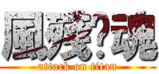 風殘·魂 (attack on titan)