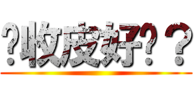 你收皮好嗎？ (       )