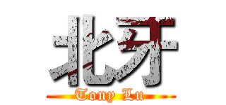 北牙 (Tony Lu)
