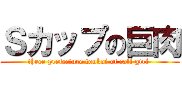 Ｓカップの巨肉 (three prefecture toukai of call girl )