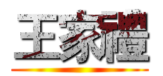 王家禮 ()