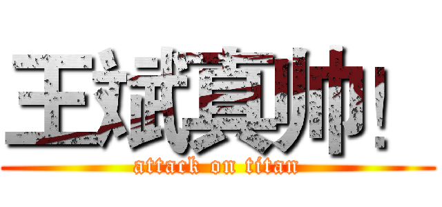 王斌真帅！ (attack on titan)