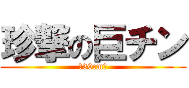 珍撃の巨チン (（30cm）)