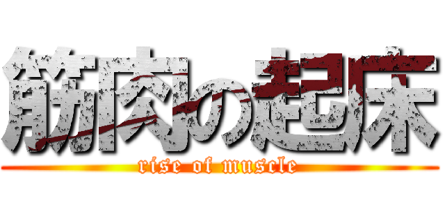 筋肉の起床 (rise of muscle)