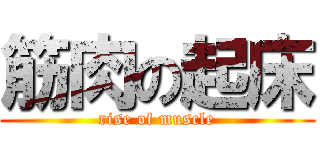 筋肉の起床 (rise of muscle)