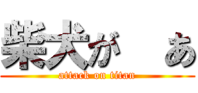 柴犬が  あ (attack on titan)