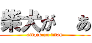柴犬が  あ (attack on titan)