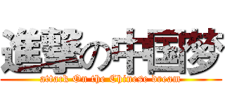 進撃の中国梦 (attack On the Chinese dream)