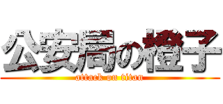 公安局の橙子 (attack on titan)