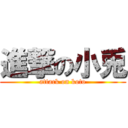 進撃の小兎 (attack on koto)