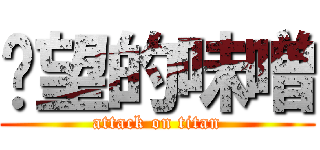 絕望的味噌 (attack on titan)