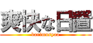 爽快な日置 (barimusyaa)