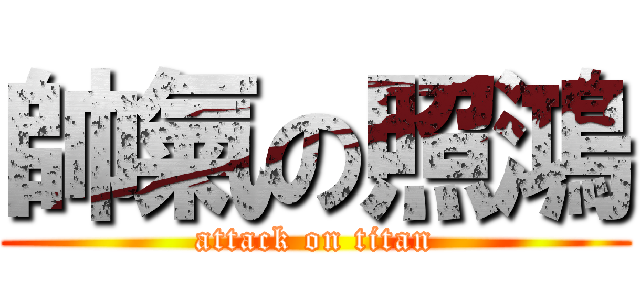 帥氣の照鴻 (attack on titan)